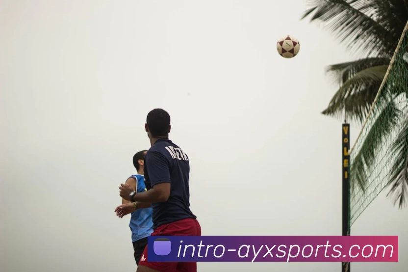 爱游戏体育服务体系